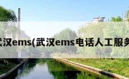 武汉ems(武汉ems电话人工服务)